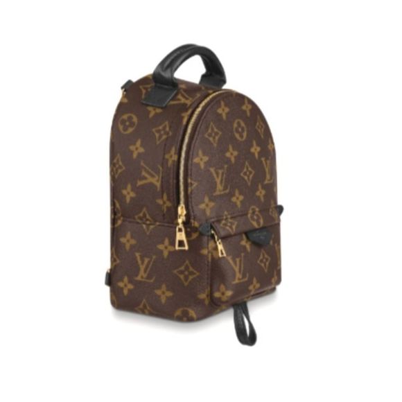 Louis Vuitton Backpack Daypack Monogram Palm Springs Mini - Picture 2 of 6